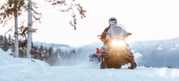 Снегоход BRP Ski-Doo Skandic SWT 900 ACE (2022), фото 6