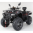 Квадроцикл Motax Grizlik 300