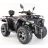Квадроцикл Motax Grizlik 300