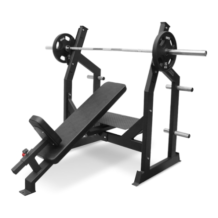 BRONZE GYM AL-306 Скамья для жима под углом вниз, фото 1