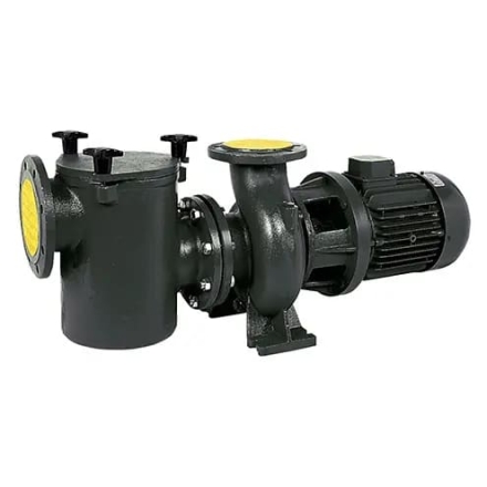 Насос с префильтром Saci Pumps CF-2 400, фото 1