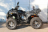 Квадроцикл GRIZZLY 250