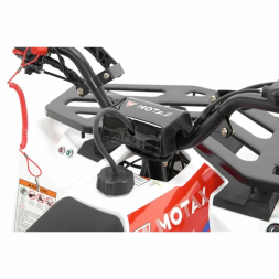 Квадроцикл MOTAX ATV Grizlik A125, фото 15