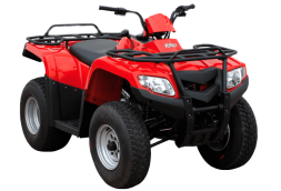 Квадроцикл LONCIN 200, фото 1