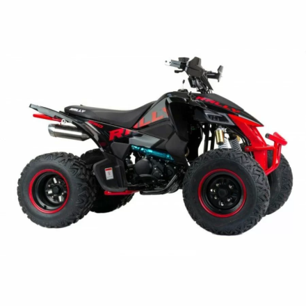 Квадроцикл подростковый MotoLand ATV 250 Rally, фото 4