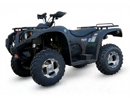 Квадроцикл WELS 400L 4x4, фото 1