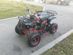 Квадроцикл MOTOLAND 50 Mini, фото 14