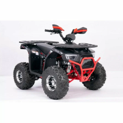 Квадроцикл YACOTA SIRIUS 125 LD, фото 7