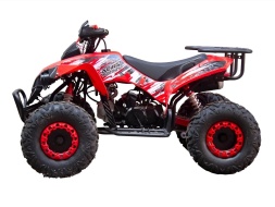 Квадроцикл GLADIATOR X125, фото 2