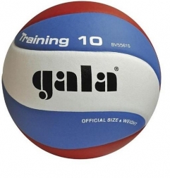 Мяч волейбольный GALA Training 10