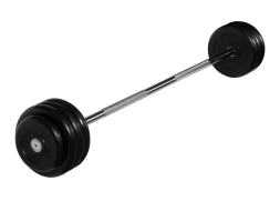 Штанга неразборная "Barbell" с чёрными дисками d 25 мм, 40 кг