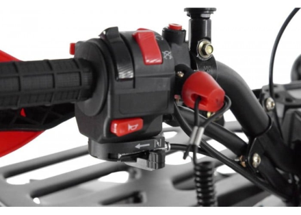 Квадроцикл WELS Thunder EVO LUX X 125, фото 12