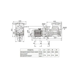 Насос с префильтром AquaViva LX SEQ1500, фото 4 Насос с префильтром AquaViva LX SEQ1500, фото 4