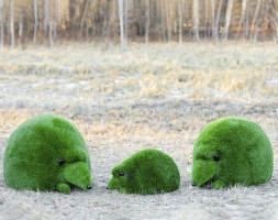 Топиари композиция Ёжики, 3 шт - газон Eco, фото 1