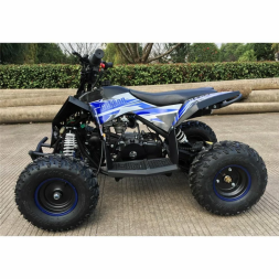 Квадроцикл MOTAX GEKKON 90cc, фото 17