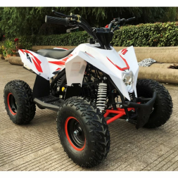 Квадроцикл MOTAX GEKKON 90cc, фото 13