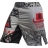 Шорты Hardcore Training hctshorts015