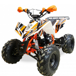 Подростковый квадроцикл MOTAX ATV T-Rex-LUX 125, фото 1