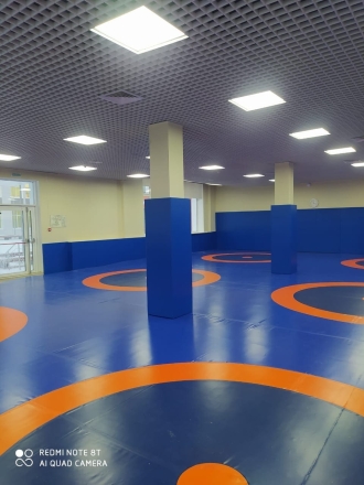 Ковёр борцовский 10х10х0,04 м, эквивалентно пл.140 кг/м3 (НПЭ, трёхцветный) СТП-87, фото 2