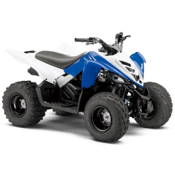Квадроцикл YAMAHA YFM90R (Raptor 90), фото 2