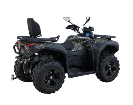 Квадроцикл HISUN Guardian 750L Long, фото 6