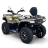 Квадроцикл Bizon YK450AL EPS
