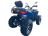 Квадроцикл MOTOLAND 300 Wild Track LUX