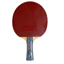Ракетка Donic Testra PRO with Liga rubbers Ракетка Donic Testra PRO with Liga rubbers