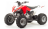 Квадроцикл MOTOLAND 125S (2020 Г.)