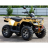 Квадроцикл IRBIS ATV 200 PREMIUM