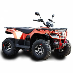 Квадроцикл IRBIS ATV 250, фото 5 Квадроцикл IRBIS ATV 250, фото 5
