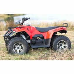 Квадроцикл IRBIS ATV 250, фото 2 Квадроцикл IRBIS ATV 250, фото 2
