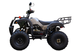 Квадроцикл UNIVERSAL ATV 200 TM Bull, фото 2 Квадроцикл UNIVERSAL ATV 200 TM Bull, фото 2