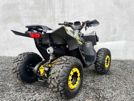Квадроцикл FXMOTO Tank 125, фото 4