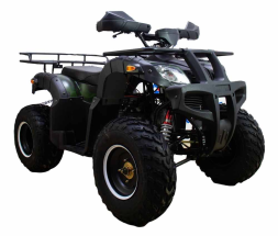 Квадроцикл ATV Classic 200 Lux, фото 2