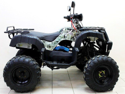 Квадроцикл ATV Avenger Tungus 250, фото 5