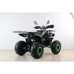 Квадроцикл MOTAX ATV Grizlik NEW LUX 125cc, фото 3